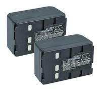 vhbw 2x batería compatible con Panasonic NV-RX11EG, NV-RX33EG, NV-R65E | para NV-RX22EG, NV-RX1EG, NV-RX5EG cámara de vídeo (2400 mAh, 4,8 V, NiMH)