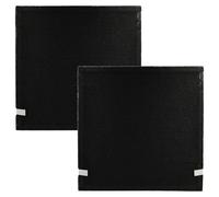 vhbw 2x Filtro de aire compatible con Beurer LR 300, LR 310 purificador - Filtro combi HEPA (HEPA 13) + carbón activo