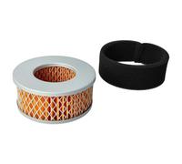 vhbw 2x Filtro reemplaza Yanmar 114250-12540, 114250-12580 para tractor de césped - 1x filtro de aire, 1x prefiltro