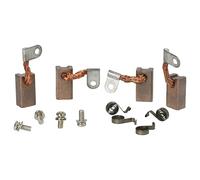 vhbw 4x escobilla de carbón 25 x 13 x 9 mm compatible con Wagner motor + resorte