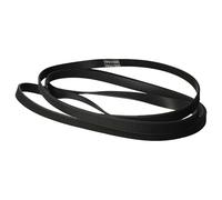 vhbw Correa trapezoidal reemplaza Hutchinson 9000431719 7PH 1995 para secadora - 14,6 cm negro