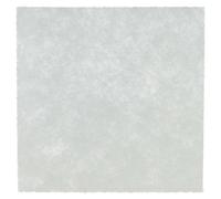 vhbw filtro protección motor reemplaza Philips CP0537/01, 432200494501 para aspiradoras