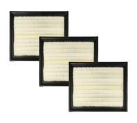 vhbw Set de 3x filtro de aspiradora compatible con Lidl Parkside Performance PPWD 30 B2 aspiradora - Filtro principal