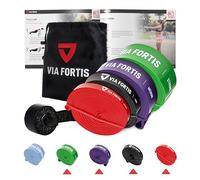 VIA FORTIS Bandas elasticas musculacion Gomas elasticas Fitness para su Entrenamiento en casa - con el Plan de Entrenamiento y la Bolsa - 5 Fuerzas Diferentes Disponibles
