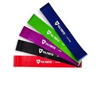 VIA FORTIS Gomas elasticas Fitness Conjunto de 5 Bandas elasticas musculacion para su Entrenamiento en casa - con el Plan de Entrenamiento y la Bolsa