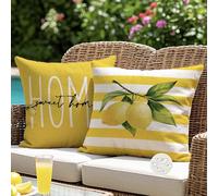 ViaElayu Fundas de Cojín para Exterior Impermeables 45x45 cm Limón Amarillo Decorativas Sofá Funda para Jardín Veraniegos Fundas Cojín para Patio Banco Sala de Estar Juego de 2