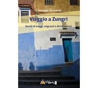 Viaggio a Zungri. Storie di viaggi, migranti e diritti violati (Altre storie)