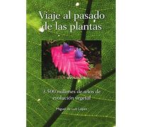 Viaje Al Pasado De Las Plantas
