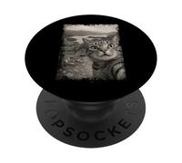 Viaje Vintage Divertido para Amantes de los Gatos en Lake District PopSockets PopGrip Adhesivo