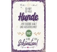 vianmo Cartel de hojalata 18x12 cm so viele Hunde ich habe den Schönsten Deco Regalo Letrero