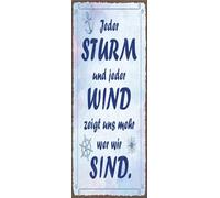 vianmo Cartel de hojalata 27x10 cm Jeder Sturm und jeder Wind zeigt uns wer wir sind Deco Regalo Letrero