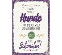 vianmo Cartel de hojalata 30x20 cm so viele Hunde ich habe den Schönsten Deco Regalo Letrero