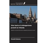 Vías hacia el sinhogarismo juvenil en Irlanda: Desafíos e intervenciones de los trabajadores de atención social