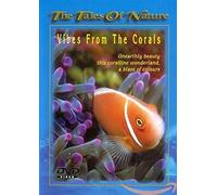 Vibes from the Corals [Internacional] [DVD]