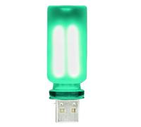 Vibhgtf Luz nocturna LED con control táctil USB - Iluminación interior vintage y portátil | Luz ambiental Botella de cristal helado | para dormitorio, pasillo, baño, familia, amigos