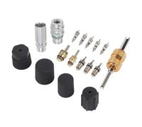 Vibsky Kit de núcleo de válvula de aire acondicionado de coche con herramienta extractora, a prueba de fugas y polvo para sistemas de CA R134a y R12, para la mayoría de vehículos