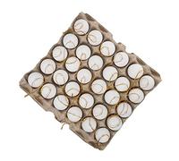VICASKY 1 juego de bandeja para huevos simulada, soporte para huevos, huevos falsos para morir, caja de huevos, huevos de Pascua, decoración de Pascua, artesanías, papel blanco