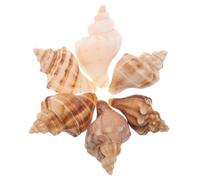 VICASKY 6 piezas de conchas marinas naturales pequeñas casas de cangrejo para acuarios y decoración del hogar para temas de playa y dormitorio costero