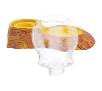 VICASKY Cuenca de Agua para Reptiles y arañas, 1 Juego, 250 ml, Resina y plástico, Bebedero para y Tortugas, para hogar y terrario