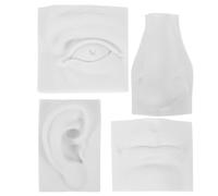 VICASKY de boceto de yeso con 4 piezas, herramienta didáctica para dibujo de esculturas y adorno escultórico en blanco para uso en hogar