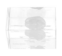 VICASKY Modelo anatómico de cerebro humano 3D, adorno de cristal tallado en el interior, cubo transparente, decoración para el hogar y la oficina, regalo para estudiantes de medicina