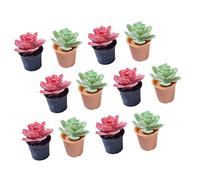 VICASKY Plantas artificiales en miniatura de 12 piezas para casa de muñecas, modelos realistas de bonsái, decoración de casas, fácil de cuidar para ideas creativas de decoración