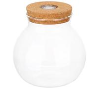 VICASKY Terrario Botella de Vidrio Borosilicato 2 Unidades con Luz LED de Color, Decoración Hogar Micropaisaje DIY, Pecera Ecológica Pequeña para Plantas y Mini Jarrón Hidropónico