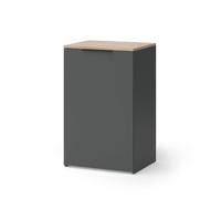 Vicco Aparador Wido, Antracita, 50 x 80 cm con Estante, para Almacenamiento y organización Que Ahorra Espacio