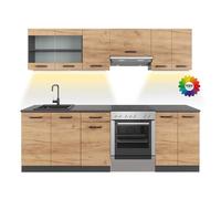Vicco Mueble de Cocina R-Line, Roble Dorado/Antracita 240 cm | ET Negro estampado con tira de LED, combinable de forma flexible con elementos modulares