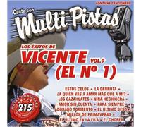 Vicente Fernandez - Vol. 9-Exitos Multi Pistas