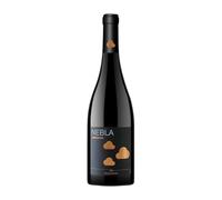 Vicente Gandía Nebla Garnacha Valencia 75 cl Vino tinto