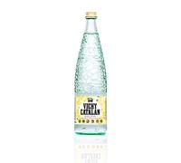 Vichy Catalan - Agua mineral espumosa - 32 oz (1 litro) (12 botellas de vidrio)