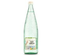 Vichy Catalan Agua Mineral Natural CON GAS Botella, 1L