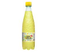 Vichy Catalan Fruit Agua Vichy con Frutas (Limón, 6 Botellas 500 ml.)