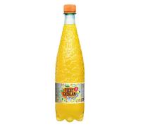 Vichy Catalan Fruit Agua Vichy con Frutas (Naranja, 6 Botellas 1200ml.)