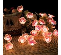 Vicloon Guirnalda Luces Exterior, 20 Led Cadena de Luces JardÍN, 2m Flores de Cerezo Guirnaldas Luminosas Decoración Interior, Bajo voltaje Sin Calor Luz cálida para Fiestas, Hogar, Patio, Café, Bodas