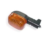 Vicma - Intermitente Frontal Derecho/Trasero Izquierdo, para Benelli, Italjet, Malaguti, Daelim