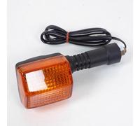 Vicma Luz intermitente para Honda Scooter 50 Nps Zoomer Después de 2004 Nuevo