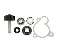 Vicma Water Pump Repair Kit For Majesty, X de MAX, X de City, Versity 250