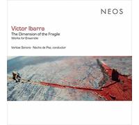 De Paz,Nacho - The Dimension Of The Fragile