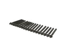 VICTOR Reinz Bolt Kit, culata de cilindro 14-10569-01