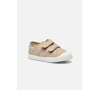 Victoria 1915 Basket Tiras Lona K 20 Beige