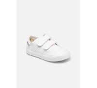 Victoria 1915 Basket Tiras Lona K 20 Blanco