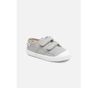 Victoria 1915 Basket Tiras Lona K 20 Gris