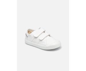 Victoria 1915 Basket Tiras Lona K 25 Blanco