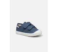 Victoria 1915 Basket Tiras Lona K 26 Azul