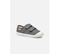 Victoria 1915 Basket Tiras Lona K 29 Gris