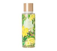 Victoria's Secret Wild Willow Bruma Corporal 250 ml
