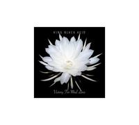 VICTORY FOR MAD LOVE