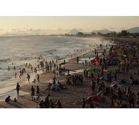 Vida en el mar - Rompecabezas de Madera de 1500 Piezas: Juego de decoración Educativo y Colorido (14 años+)